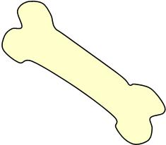 骨