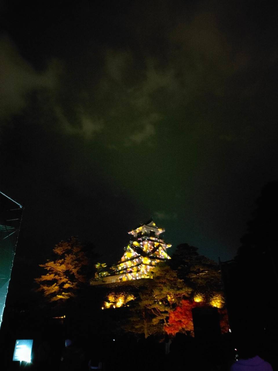 高知光の花図鑑2