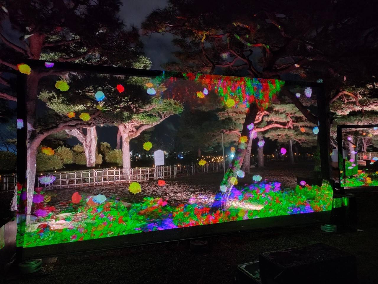 高知光の花図鑑
