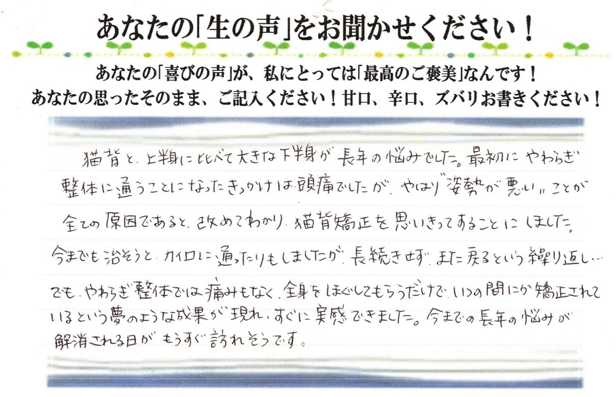 美容整体 感想