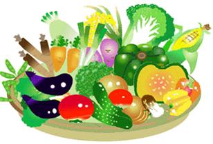 旬の野菜